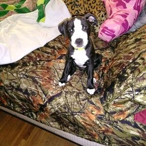 Meet your Posher, Brandy